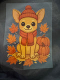 Pumpkin Chihuahua