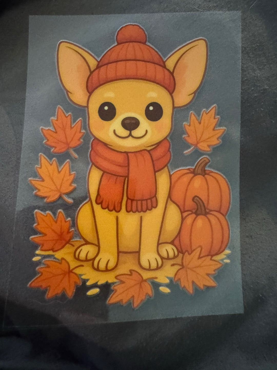 Pumpkin Chihuahua